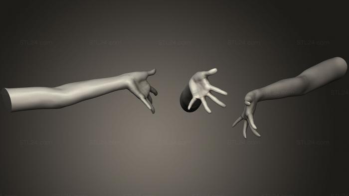 Анатомия скелеты и черепа (Поза женской руки 8, ANTM_0536) 3D модель для ЧПУ станка